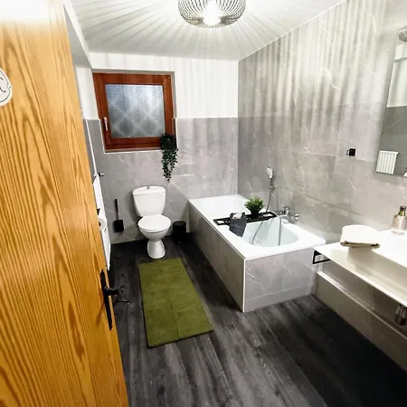 Bergfreude Holiday home Braunlage