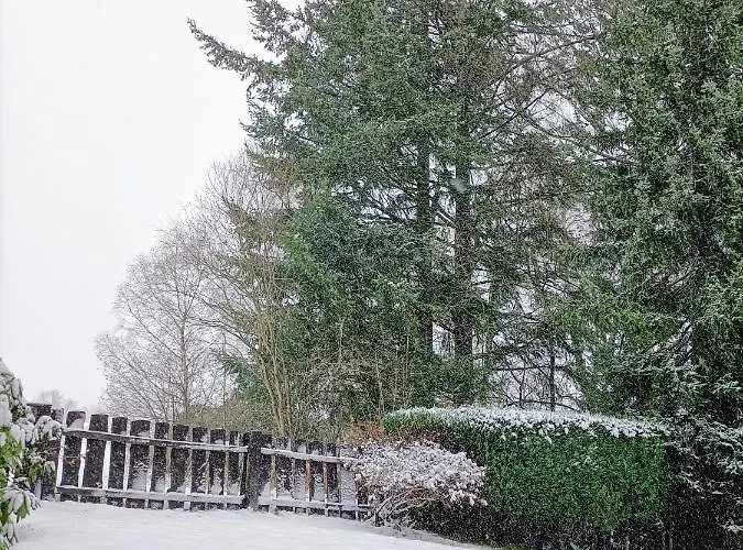 Bergfreude Дом отдыха Браунлаге